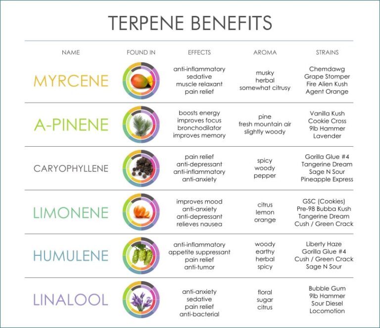 How to maximize the benefits of terpenes for your health?